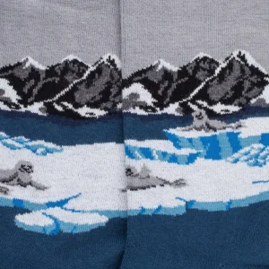 Homme Doré Doré Chaussettes^Chaussettes en coton pour hommes avec motif de phoque sur le quai - Bleu Croisette