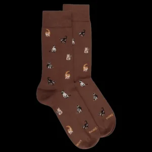 Homme Doré Doré Chaussettes^Chaussettes homme en coton à motif chats - Marron cacao