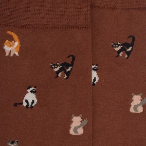 Homme Doré Doré Chaussettes^Chaussettes homme en coton à motif chats - Marron cacao