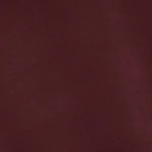 Femme Doré Doré Collants^Collant opaque Opacité 60 deniers -
