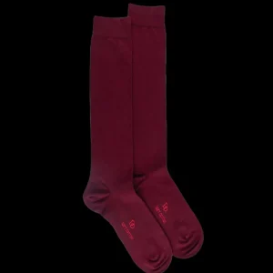Homme Doré Doré Chaussettes Hautes^Mi-bas homme fins en coton égyptien -