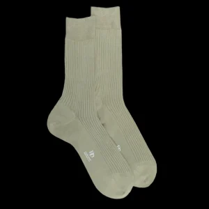 Homme Doré Doré Chaussettes^Chaussettes côtelées pour hommes en fil d'Ecosse 100% uni - Vert Sauge