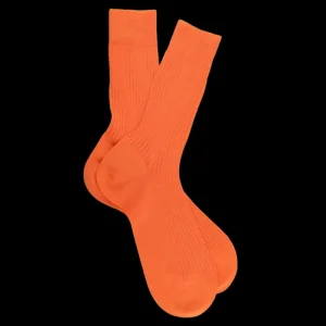 Homme Doré Doré Chaussettes^Chaussettes côtelées pour hommes en fil d'Ecosse 100% uni -