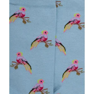 Femme Doré Doré Chaussettes^Chaussettes en coton pour femmes avec motifs d'oiseaux tropicaux - Gris connemara