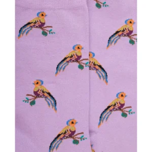 Femme Doré Doré Chaussettes^Chaussettes en coton pour femmes avec motifs d'oiseaux tropicaux - Violet Corolle