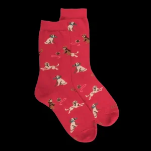 Enfant Doré Doré Chaussettes^Chaussettes enfant en coton à motif chiens et chats -