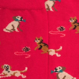 Enfant Doré Doré Chaussettes^Chaussettes enfant en coton à motif chiens et chats -