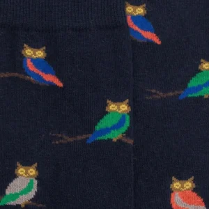 Homme Doré Doré Chaussettes^Chaussettes fantaisie homme motifs hibou - Marine