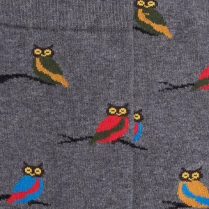 Homme Doré Doré Chaussettes^Chaussettes fantaisie homme motifs hibou - Gris