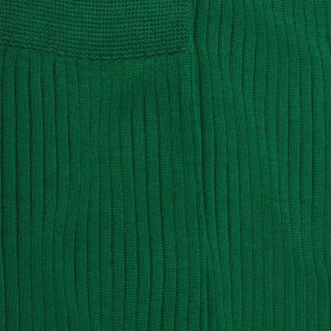 Homme Doré Doré Chaussettes^Chaussettes homme à côtes 100% fil d'Écosse - Vert Chlorophyle