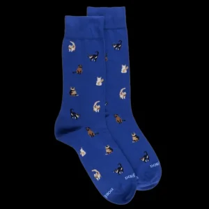 Homme Doré Doré Chaussettes^Chaussettes homme en coton à motifs chats - Bleu France