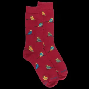 Homme Doré Doré Chaussettes^Chaussettes homme en coton motif hibou - Rouge amarante & Vert Campagne