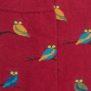 Homme Doré Doré Chaussettes^Chaussettes homme en coton motif hibou - Rouge amarante & Vert Campagne