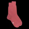Homme Doré Doré Chaussettes^Chaussettes homme fines 100% fil d'Écosse - Rose Jouy