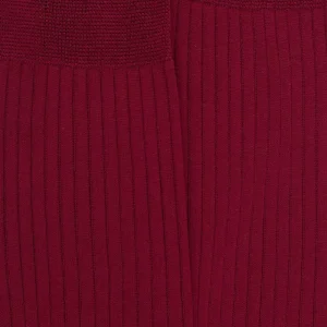 Homme Doré Doré Chaussettes^Chaussettes homme fines à côtes en fil d'Écosse -