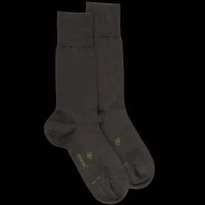 Homme Doré Doré Chaussettes^Chaussettes homme Sensation en laine mérinos & Coton égyptien - Marron foncé