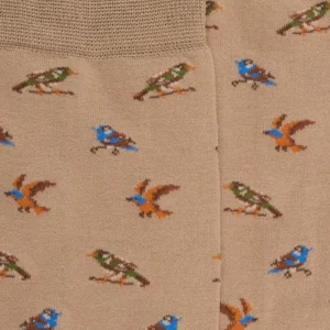 Femme Doré Doré Chaussettes^Chaussettes pour femmes en fil d'Ecosse à motifs de chardonnerets - Beige Grège