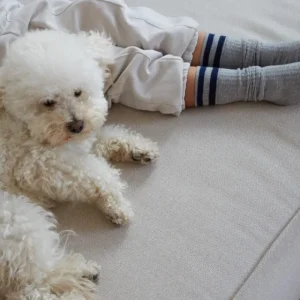 Enfant Doré Doré Chaussettes Hautes^Mi-bas coton enfant fantaisie à bandes - Gris